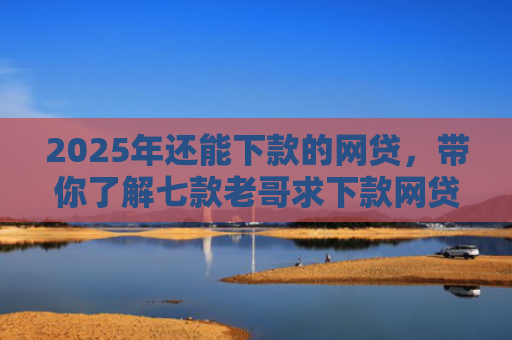2025年还能下款的网贷，带你了解七款老哥求下款网贷口子