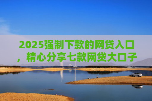 2025强制下款的网贷入口，精心分享七款网贷大口子能下款