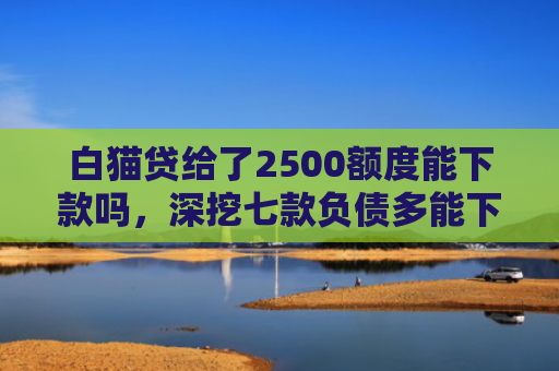 白猫贷给了2500额度能下款吗，深挖七款负债多能下款的网贷口子