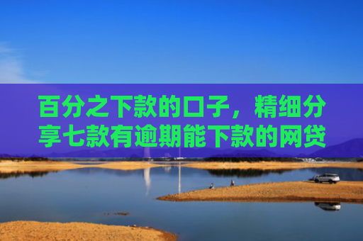 百分之下款的口子，精细分享七款有逾期能下款的网贷口子
