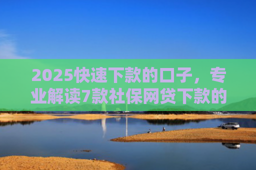 2025快速下款的口子，专业解读7款社保网贷下款的口子