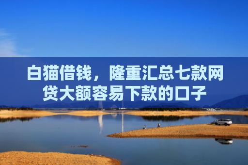 白猫借钱，隆重汇总七款网贷大额容易下款的口子