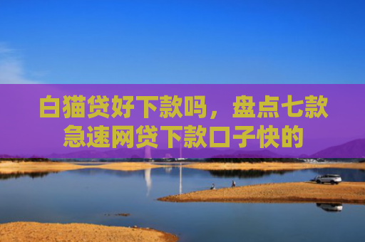 白猫贷好下款吗，盘点七款急速网贷下款口子快的