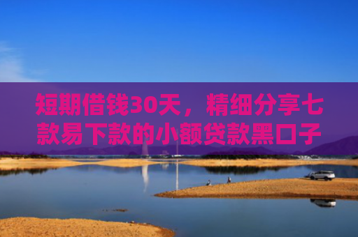 短期借钱30天，精细分享七款易下款的小额贷款黑口子