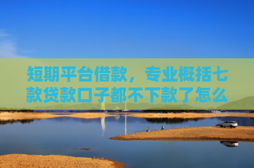 短期平台借款，专业概括七款贷款口子都不下款了怎么办