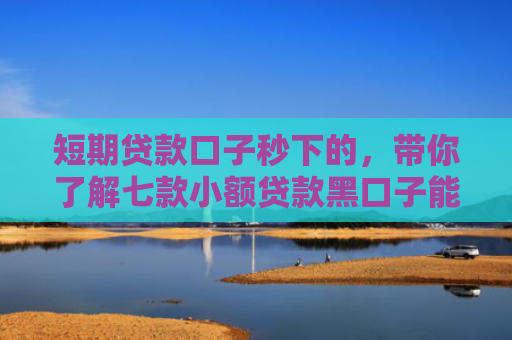 短期贷款口子秒下的，带你了解七款小额贷款黑口子能下款吗