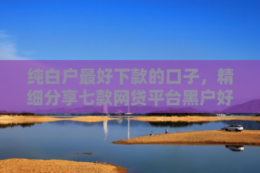 纯白户最好下款的口子，精细分享七款网贷平台黑户好下款的口子