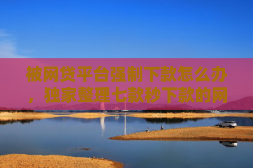 被网贷平台强制下款怎么办，独家整理七款秒下款的网贷口子叫什么