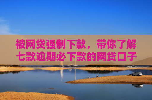 被网贷强制下款，带你了解七款逾期必下款的网贷口子2025