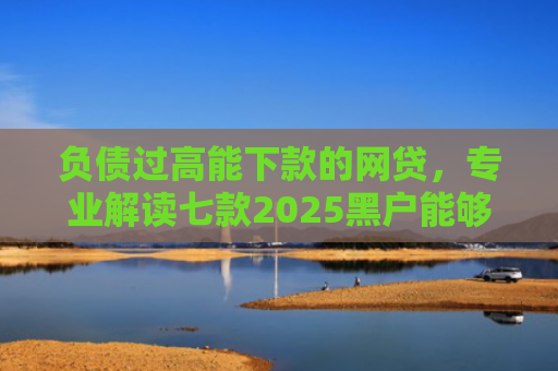 负债过高能下款的网贷，专业解读七款2025黑户能够下款的网贷