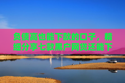 负债高也能下款的口子，精细分享七款黑户网贷还能下款吗