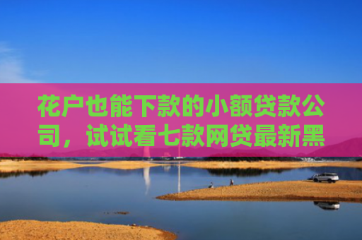 花户也能下款的小额贷款公司，试试看七款网贷最新黑户下款口子
