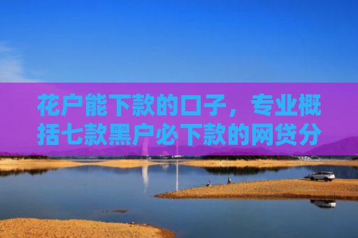 花户能下款的口子，专业概括七款黑户必下款的网贷分期