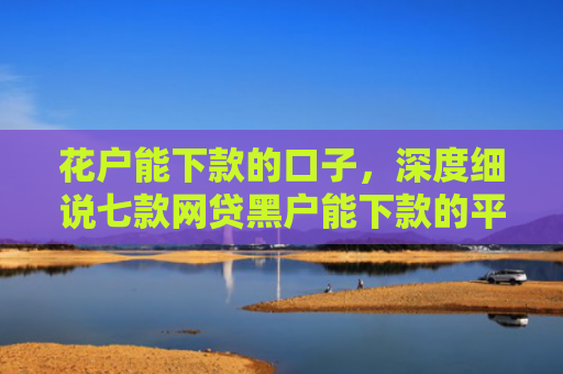 花户能下款的口子，深度细说七款网贷黑户能下款的平台
