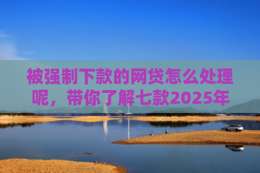 被强制下款的网贷怎么处理呢，带你了解七款2025年容易下款的网贷口子