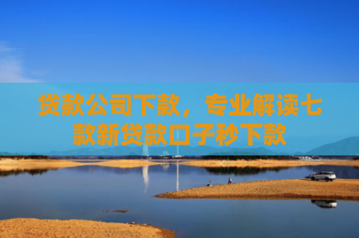 贷款公司下款，专业解读七款新贷款口子秒下款