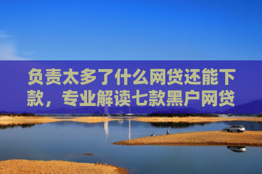 负责太多了什么网贷还能下款，专业解读七款黑户网贷能下款的口子