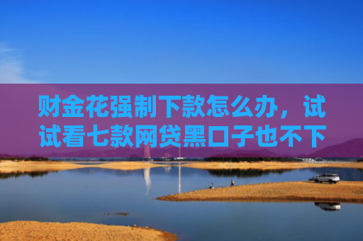 财金花强制下款怎么办，试试看七款网贷黑口子也不下款 是为什么