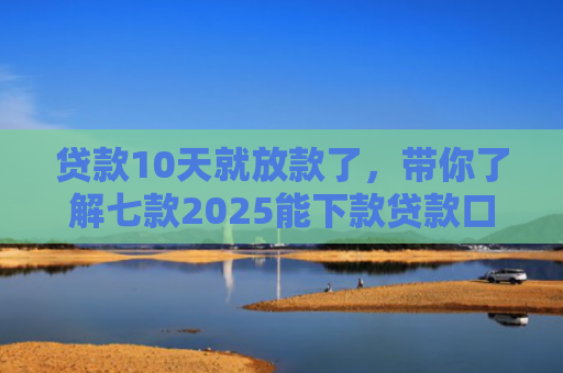 贷款10天就放款了，带你了解七款2025能下款贷款口子