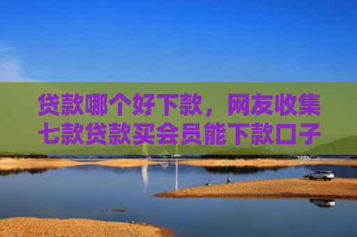 贷款哪个好下款，网友收集七款贷款买会员能下款口子