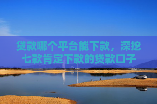 贷款哪个平台能下款，深挖七款肯定下款的贷款口子