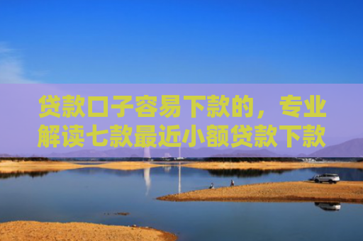 贷款口子容易下款的，专业解读七款最近小额贷款下款口子