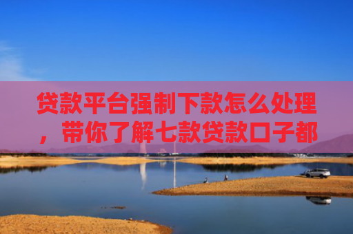 贷款平台强制下款怎么处理，带你了解七款贷款口子都不下款了吗