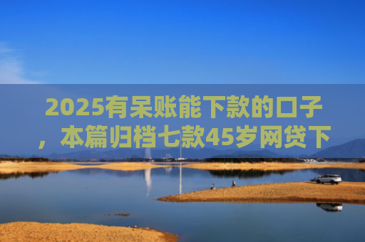 2025有呆账能下款的口子，本篇归档七款45岁网贷下款的口子