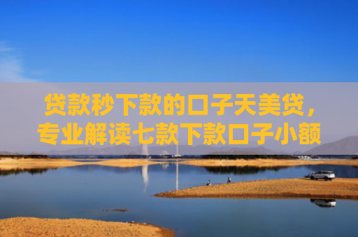 贷款秒下款的口子天美贷，专业解读七款下款口子小额贷款公司