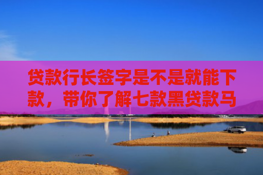 贷款行长签字是不是就能下款，带你了解七款黑贷款马上下款的口子