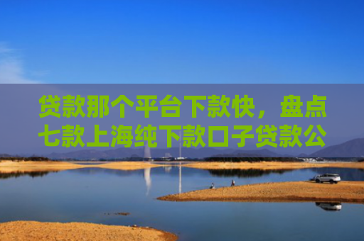 贷款那个平台下款快，盘点七款上海纯下款口子贷款公司