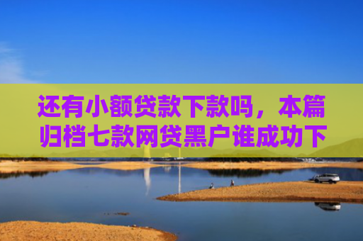 还有小额贷款下款吗，本篇归档七款网贷黑户谁成功下款