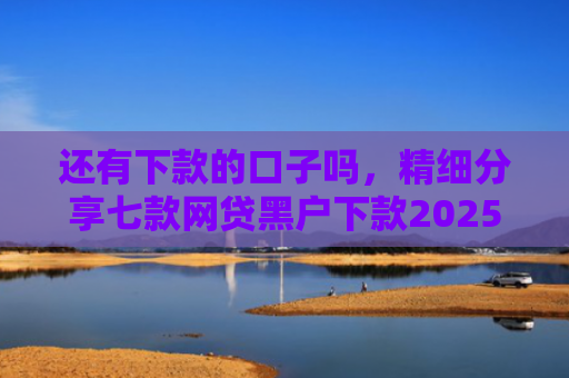 还有下款的口子吗，精细分享七款网贷黑户下款2025