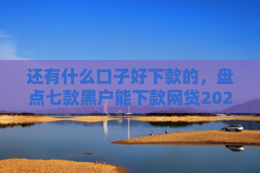 还有什么口子好下款的，盘点七款黑户能下款网贷2025