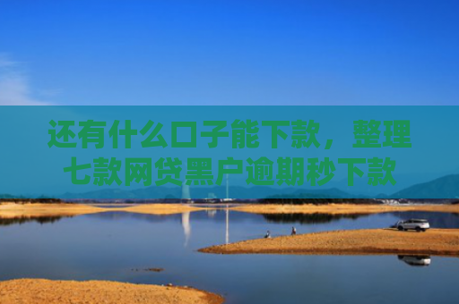 还有什么口子能下款，整理七款网贷黑户逾期秒下款