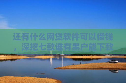 还有什么网贷软件可以借钱，深挖七款谁有黑户能下款网贷