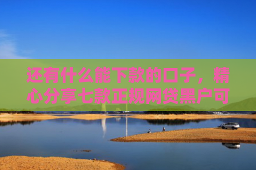 还有什么能下款的口子，精心分享七款正规网贷黑户可下款