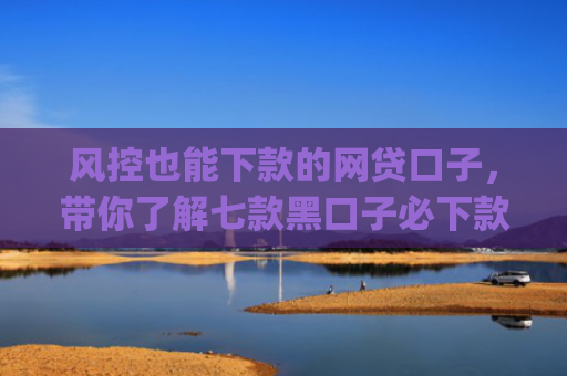 风控也能下款的网贷口子，带你了解七款黑口子必下款app2025的放款条件