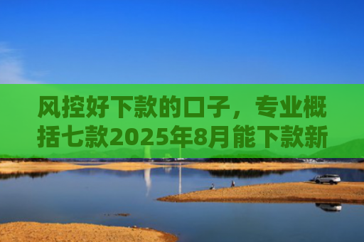 风控好下款的口子，专业概括七款2025年8月能下款新口子APP