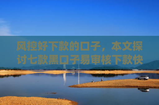 风控好下款的口子，本文探讨七款黑口子易审核下款快的app