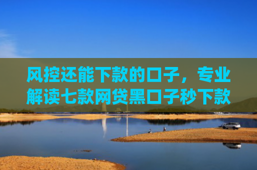 风控还能下款的口子，专业解读七款网贷黑口子秒下款app2025