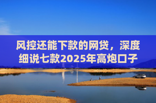 风控还能下款的网贷，深度细说七款2025年高炮口子秒下款app