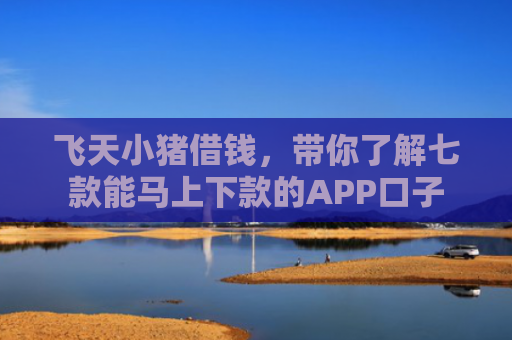 飞天小猪借钱，带你了解七款能马上下款的APP口子