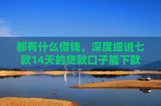 都有什么借钱，深度细说七款14天的贷款口子能下款吗