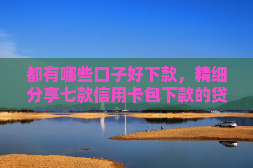 都有哪些口子好下款，精细分享七款信用卡包下款的贷款口子