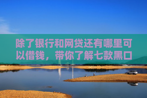 除了银行和网贷还有哪里可以借钱，带你了解七款黑口子可以下款的平台