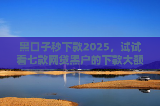 黑口子秒下款2025，试试看七款网贷黑户的下款大额口子