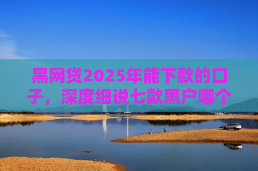 黑网贷2025年能下款的口子，深度细说七款黑户哪个网贷最容易下款