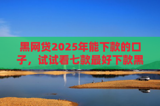 黑网贷2025年能下款的口子，试试看七款最好下款黑户的网贷口子