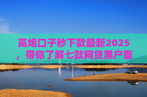 高炮口子秒下款最新2025，带你了解七款网贷黑户面签能下款吗